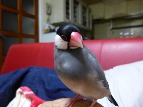 P1010210.jpg